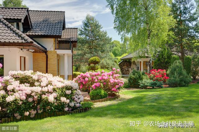 上?；▓@別墅 200坪院子 打造網紅庭院 告別喧囂